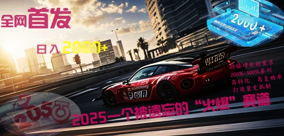 全网首发:2025一个被遗忘的“火爆”赛道轻松日入多张-vip网创吧