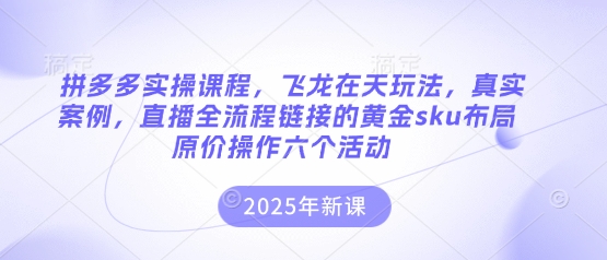拼多多实操课程,飞龙在天玩法,真实案例,直播全流程链接的黄金sku布局原价操作六个活动-vip网创吧