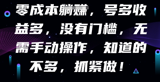 零成本全自动,号多收益多,没有门槛,无需手动-vip网创吧