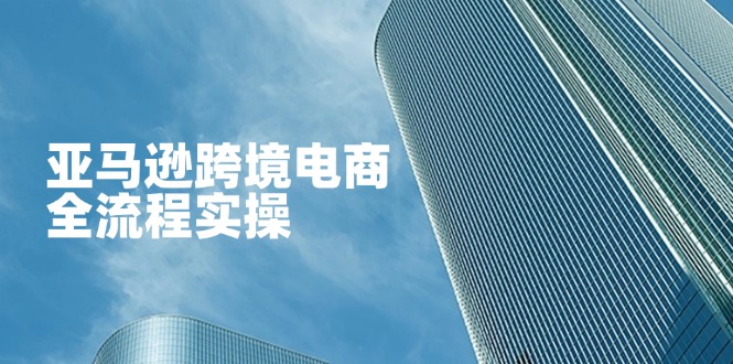 （14252期）亚马逊跨境电商全流程实操，教你从零开始，掌握店铺运营与广告技巧-vip网创吧