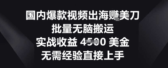 国内爆款视频出海挣美刀，批量无脑搬运，实战收益4.5k，无需经验直接上手-vip网创吧