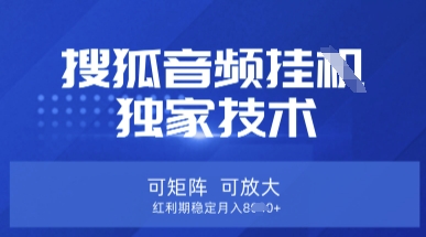 【搜狐音频挂G】独家技术，可矩阵可放大，红利期稳定月入8k【揭秘】-vip网创吧