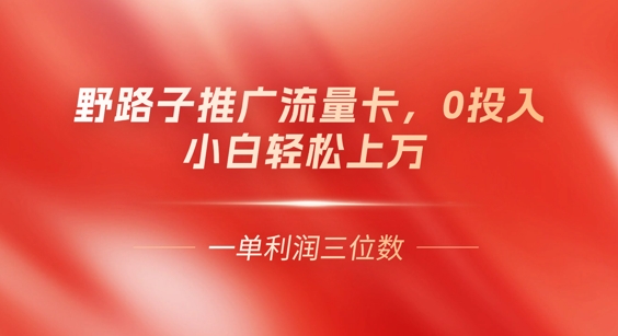 0门槛推广流量卡，一单收益上百，0投入，小白月入过W-vip网创吧