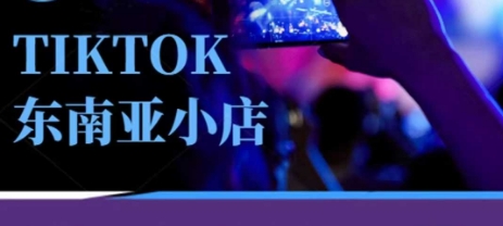 Tiktok东南亚跨境小店运营班,一门专业的TK小店运营培训课-vip网创吧