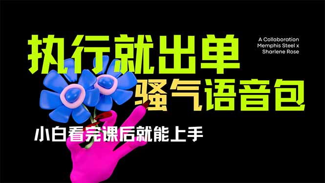 (14170期)爆火全网的开车导航骚气语音包,只要执行就出单,小白看完课程就能实操...-vip网创吧