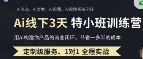 AI实操培训第20-21期线下,0基础保姆级教程,3月最新整理,企业获客、降本增效、打造超级个体-vip网创吧