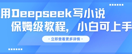 用Deepseek写小说，保姆级教程，小白可实操-vip网创吧